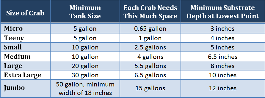 Crab Leg Size Chart